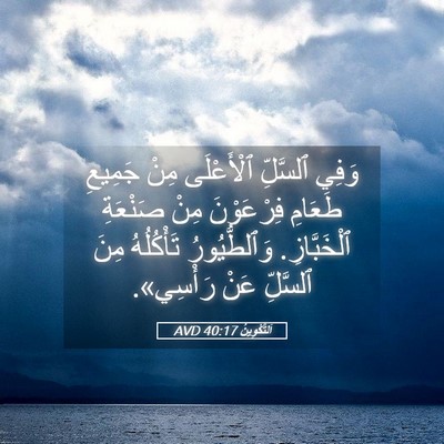Picture 05 - اَلتَّكْوِينُ 40:17 AVD - وَفِي ٱلسَّلِّ ٱلْأَعْلَى - Bible Verse Picture