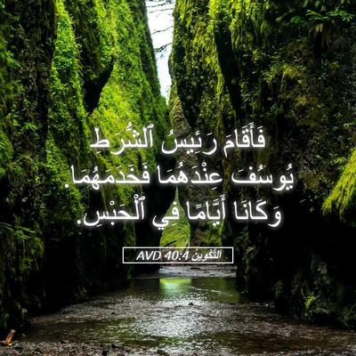 Picture 05 - اَلتَّكْوِينُ 40:4 AVD - فَأَقَامَ رَئِيسُ - Bible Verse Picture