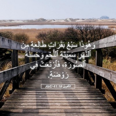 Picture 05 - اَلتَّكْوِينُ 41:18 AVD - وَهُوَذَا سَبْعُ - Bible Verse Picture