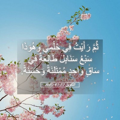 Picture 05 - اَلتَّكْوِينُ 41:22 AVD - ثُمَّ رَأَيْتُ فِي حُلْمِي - Bible Verse Picture