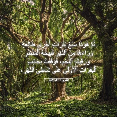 Picture 05 - اَلتَّكْوِينُ 41:3 AVD - ثُمَّ هُوَذَا سَبْعُ - Bible Verse Picture
