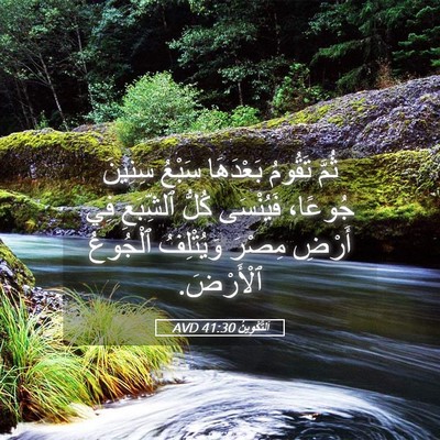 Picture 05 - اَلتَّكْوِينُ 41:30 AVD - ثُمَّ تَقُومُ بَعْدَهَا - Bible Verse Picture