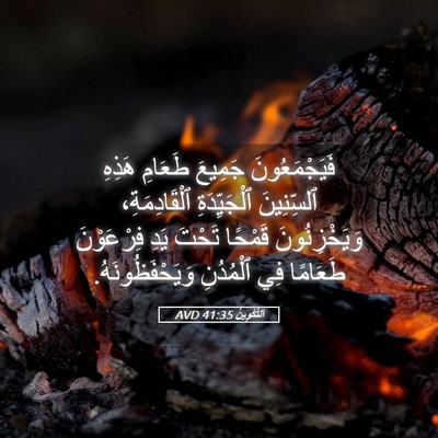 Picture 05 - اَلتَّكْوِينُ 41:35 AVD - فَيَجْمَعُونَ جَمِيعَ - Bible Verse Picture