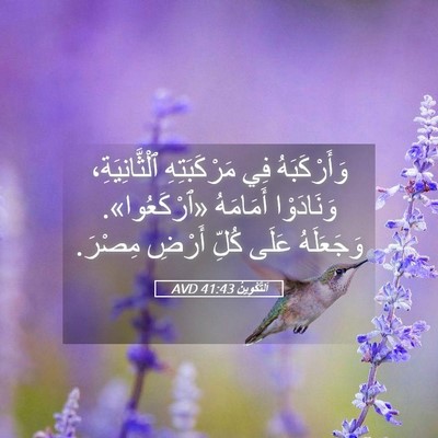 Picture 05 - اَلتَّكْوِينُ 41:43 AVD - وَأَرْكَبَهُ فِي - Bible Verse Picture