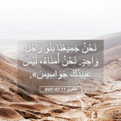 Picture 05 - اَلتَّكْوِينُ 42:11 AVD - نَحْنُ جَمِيعُنَا بَنُو - Bible Verse Picture