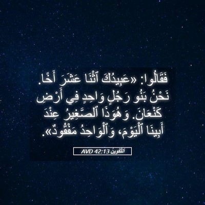 Picture 05 - اَلتَّكْوِينُ 42:13 AVD - فَقَالُوا: «عَبِيدُكَ - Bible Verse Picture