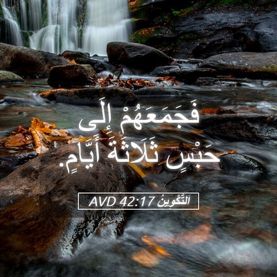 Picture 05 - اَلتَّكْوِينُ 42:17 AVD - فَجَمَعَهُمْ إِلَى حَبْسٍ - Bible Verse Picture