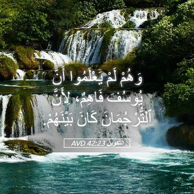 Picture 05 - اَلتَّكْوِينُ 42:23 AVD - وَهُمْ لَمْ يَعْلَمُوا - Bible Verse Picture