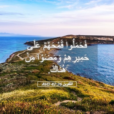 Picture 05 - اَلتَّكْوِينُ 42:26 AVD - فَحَمَلُوا قَمْحَهُمْ - Bible Verse Picture