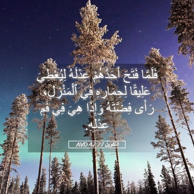 Picture 05 - اَلتَّكْوِينُ 42:27 AVD - فَلَمَّا فَتَحَ - Bible Verse Picture