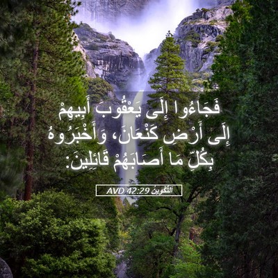 Picture 05 - اَلتَّكْوِينُ 42:29 AVD - فَجَاءُوا إِلَى يَعْقُوبَ - Bible Verse Picture