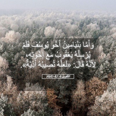 Picture 05 - اَلتَّكْوِينُ 42:4 AVD - وَأَمَّا بَنْيَامِينُ - Bible Verse Picture