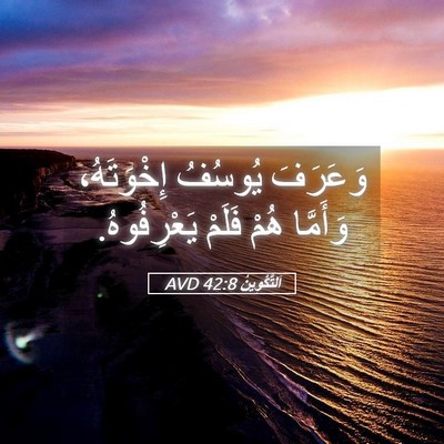 Picture 05 - اَلتَّكْوِينُ 42:8 AVD - وَعَرَفَ يُوسُفُ - Bible Verse Picture