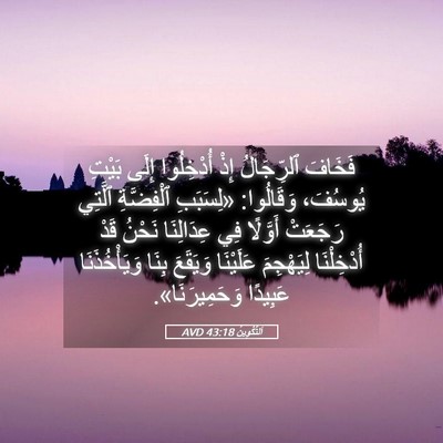 Picture 05 - اَلتَّكْوِينُ 43:18 AVD - فَخَافَ ٱلرِّجَالُ إِذْ - Bible Verse Picture