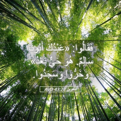 Picture 05 - اَلتَّكْوِينُ 43:28 AVD - فَقَالُوا: «عَبْدُكَ - Bible Verse Picture