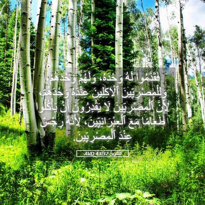 Picture 05 - اَلتَّكْوِينُ 43:32 AVD - فَقَدَّمُوا لَهُ - Bible Verse Picture