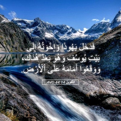 Picture 05 - اَلتَّكْوِينُ 44:14 AVD - فَدَخَلَ يَهُوذَا - Bible Verse Picture