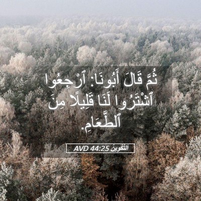 Picture 05 - اَلتَّكْوِينُ 44:25 AVD - ثُمَّ قَالَ أَبُونَا: - Bible Verse Picture