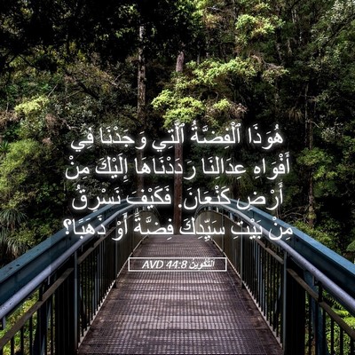Picture 05 - اَلتَّكْوِينُ 44:8 AVD - هُوَذَا ٱلْفِضَّةُ - Bible Verse Picture