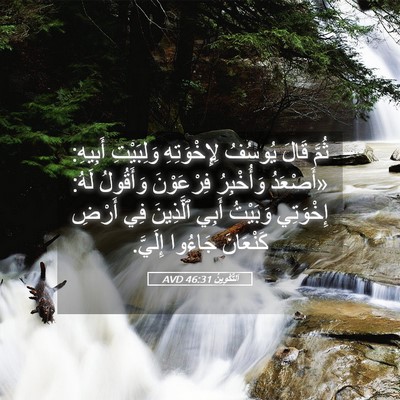 Picture 05 - اَلتَّكْوِينُ 46:31 AVD - ثُمَّ قَالَ يُوسُفُ - Bible Verse Picture