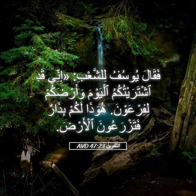 Picture 05 - اَلتَّكْوِينُ 47:23 AVD - فَقَالَ يُوسُفُ - Bible Verse Picture