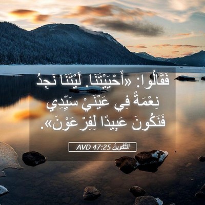Picture 05 - اَلتَّكْوِينُ 47:25 AVD - فَقَالُوا: «أَحْيَيْتَنَا. - Bible Verse Picture