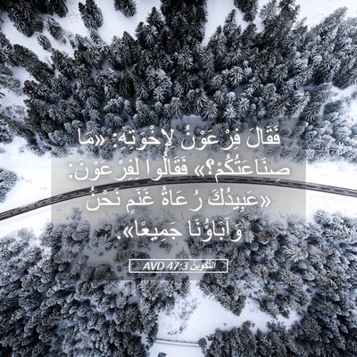 Picture 05 - اَلتَّكْوِينُ 47:3 AVD - فَقَالَ فِرْعَوْنُ - Bible Verse Picture