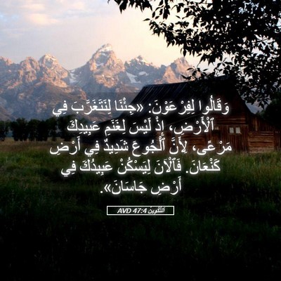 Picture 05 - اَلتَّكْوِينُ 47:4 AVD - وَقَالُوا لِفِرْعَوْنَ: - Bible Verse Picture