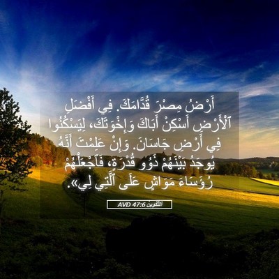 Picture 05 - اَلتَّكْوِينُ 47:6 AVD - أَرْضُ مِصْرَ قُدَّامَكَ. - Bible Verse Picture