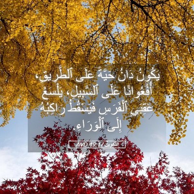 Picture 05 - اَلتَّكْوِينُ 49:17 AVD - يَكُونُ دَانُ حَيَّةً - Bible Verse Picture