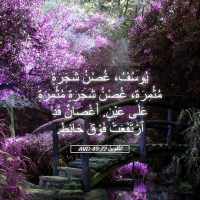 Picture 05 - اَلتَّكْوِينُ 49:22 AVD - يُوسُفُ، غُصْنُ شَجَرَةٍ - Bible Verse Picture