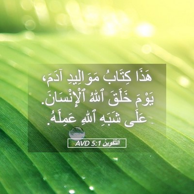 Picture 05 - اَلتَّكْوِينُ 5:1 AVD - هَذَا كِتَابُ مَوَالِيدِ - Bible Verse Picture