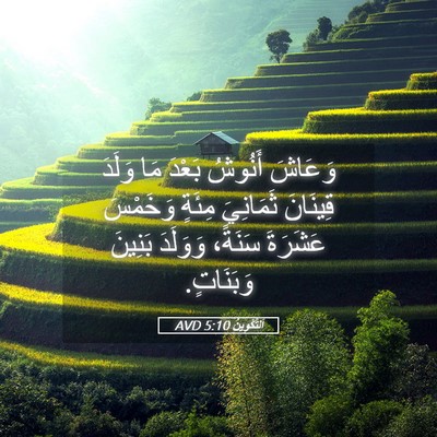 Picture 05 - اَلتَّكْوِينُ 5:10 AVD - وَعَاشَ أَنُوشُ بَعْدَ مَا - Bible Verse Picture