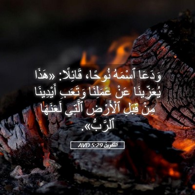 Picture 05 - اَلتَّكْوِينُ 5:29 AVD - وَدَعَا ٱسْمَهُ نُوحًا، - Bible Verse Picture