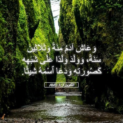 Picture 05 - اَلتَّكْوِينُ 5:3 AVD - وَعَاشَ آدَمُ مِئَةً - Bible Verse Picture