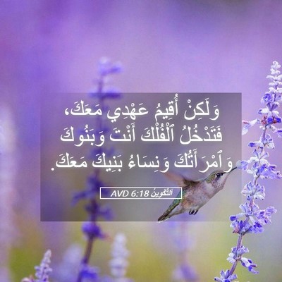 Picture 05 - اَلتَّكْوِينُ 6:18 AVD - وَلَكِنْ أُقِيمُ عَهْدِي - Bible Verse Picture