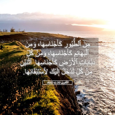 Picture 05 - اَلتَّكْوِينُ 6:20 AVD - مِنَ ٱلطُّيُورِ - Bible Verse Picture