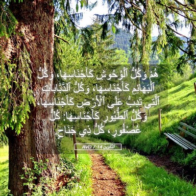 Picture 05 - اَلتَّكْوِينُ 7:14 AVD - هُمْ وَكُلُّ ٱلْوُحُوشِ - Bible Verse Picture