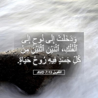 Picture 05 - اَلتَّكْوِينُ 7:15 AVD - وَدَخَلَتْ إِلَى نُوحٍ - Bible Verse Picture