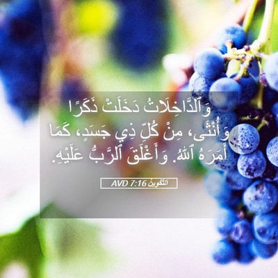 Picture 05 - اَلتَّكْوِينُ 7:16 AVD - وَٱلدَّاخِلَاتُ دَخَلَتْ - Bible Verse Picture