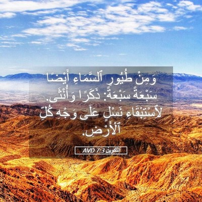 Picture 05 - اَلتَّكْوِينُ 7:3 AVD - وَمِنْ طُيُورِ ٱلسَّمَاءِ - Bible Verse Picture