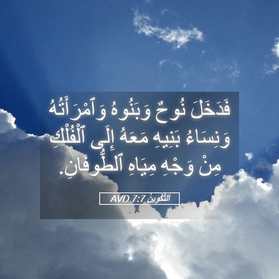 Picture 05 - اَلتَّكْوِينُ 7:7 AVD - فَدَخَلَ نُوحٌ وَبَنُوهُ - Bible Verse Picture