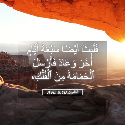 Picture 05 - اَلتَّكْوِينُ 8:10 AVD - فَلَبِثَ أَيْضًا سَبْعَةَ - Bible Verse Picture