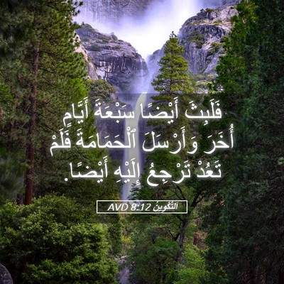 Picture 05 - اَلتَّكْوِينُ 8:12 AVD - فَلَبِثَ أَيْضًا سَبْعَةَ - Bible Verse Picture