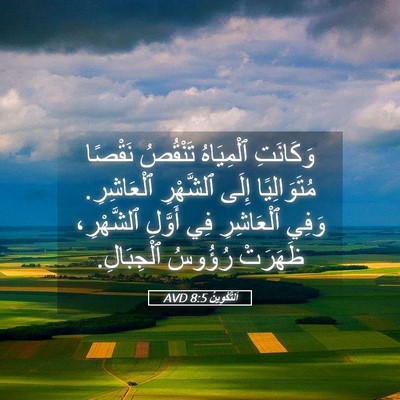 Picture 05 - اَلتَّكْوِينُ 8:5 AVD - وَكَانَتِ ٱلْمِيَاهُ - Bible Verse Picture