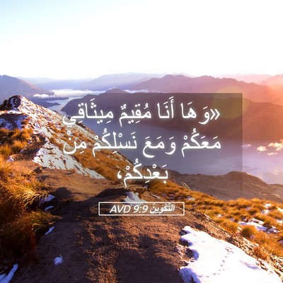 Picture 05 - اَلتَّكْوِينُ 9:9 AVD - «وَهَا أَنَا مُقِيمٌ - Bible Verse Picture
