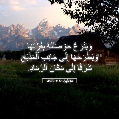 Picture 05 - اَللَّاوِيِّينَ 1:16 AVD - وَيَنْزِعُ حَوْصَلَتَهُ - Bible Verse Picture