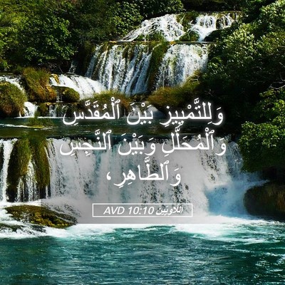 Picture 05 - اَللَّاوِيِّينَ 10:10 AVD - وَلِلتَّمْيِيزِ بَيْنَ - Bible Verse Picture