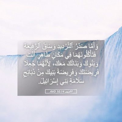 Picture 05 - اَللَّاوِيِّينَ 10:14 AVD - وَأَمَّا صَدْرُ - Bible Verse Picture
