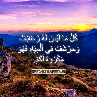 Picture 05 - اَللَّاوِيِّينَ 11:12 AVD - كُلُّ مَا لَيْسَ لَهُ - Bible Verse Picture